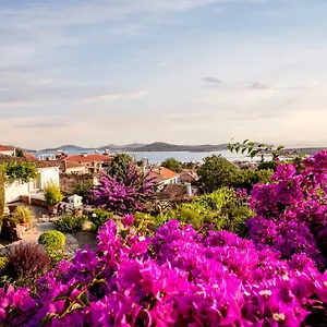 Begonvilla Evleri , Ayvalı Türkiye