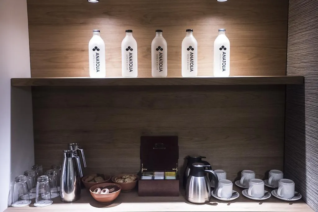 安纳托里亚酒店 塞萨洛尼基 酒店
